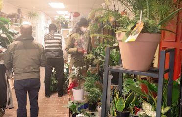BLOSSOM SHOP