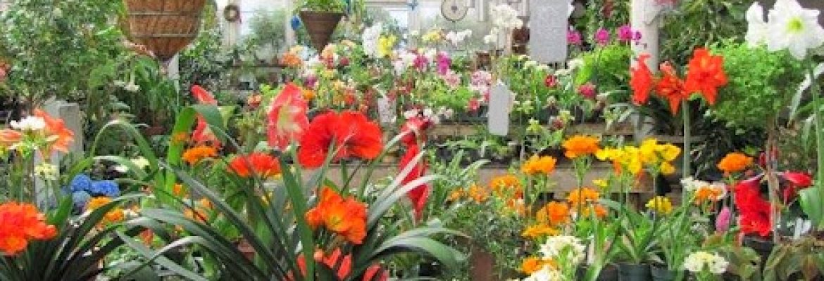 Ballek’s Garden Center