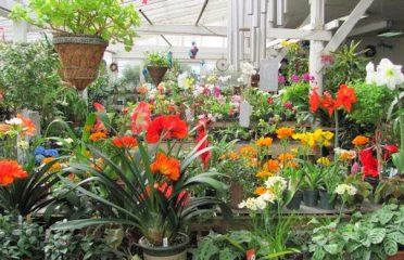 Ballek’s Garden Center