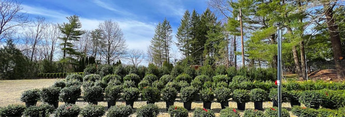 Trailside Nursery