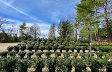 Trailside Nursery