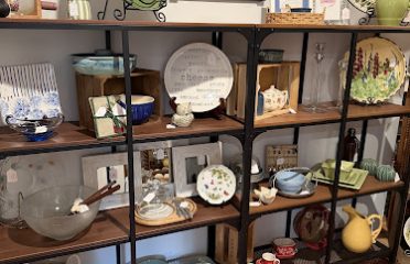 Thrifting Pretty
