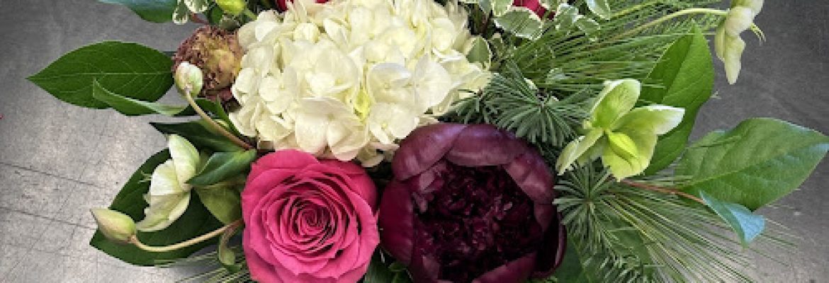 Botanicals by Jessica