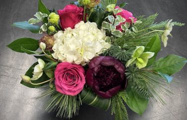 Botanicals by Jessica