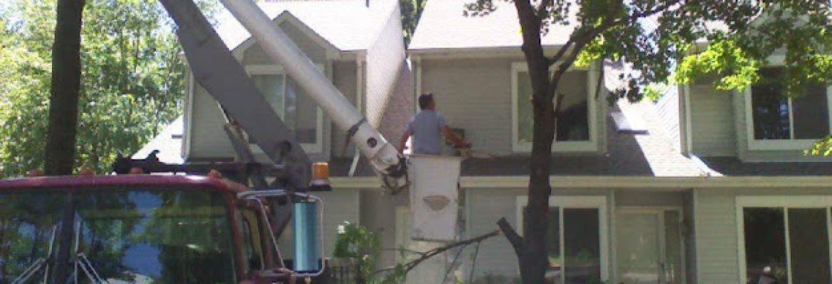 Bob’s Tree Service