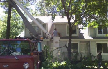 Bob’s Tree Service