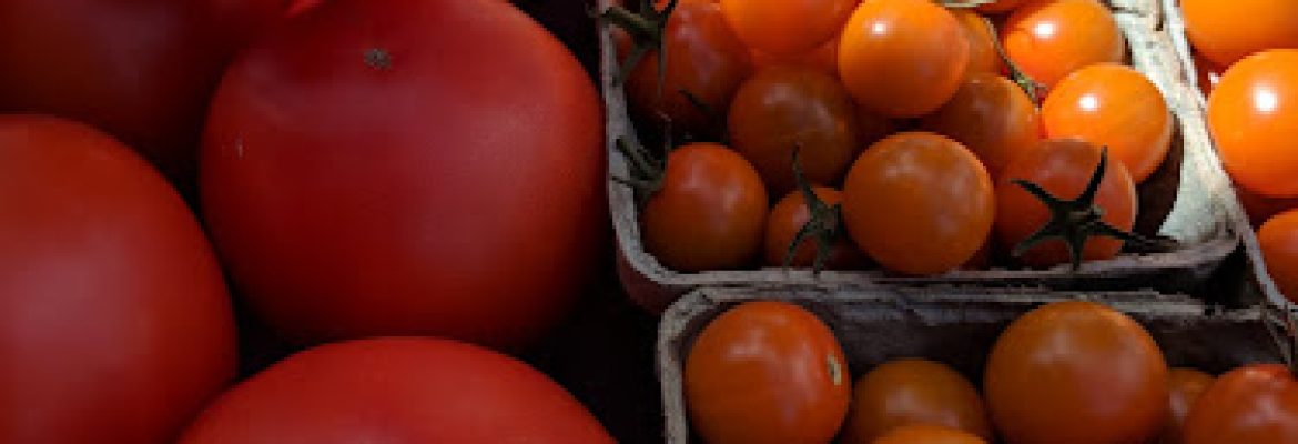 New Milford Farmers Market