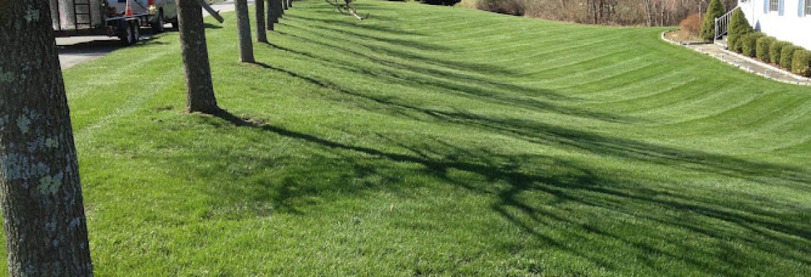 Wolgast Landscaping, LLC