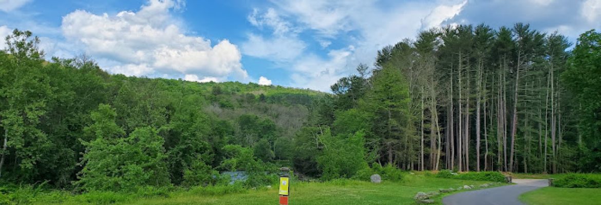 Housatonic Meadows State Park – Picnic Area