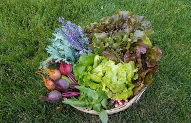 Homefront Farmers