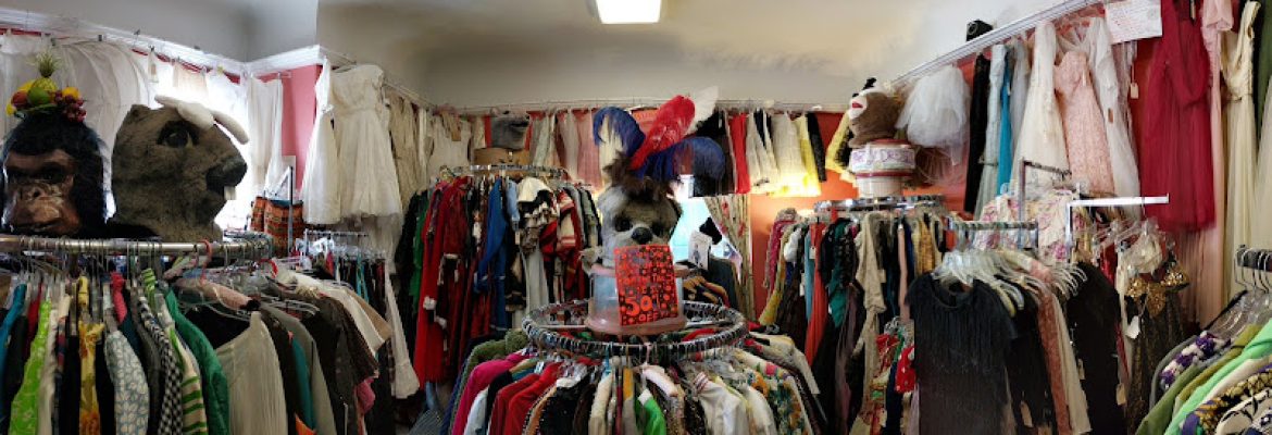 Fashionista Vintage & Variety