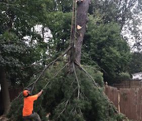 GreenLeaf Tree Removal Llc