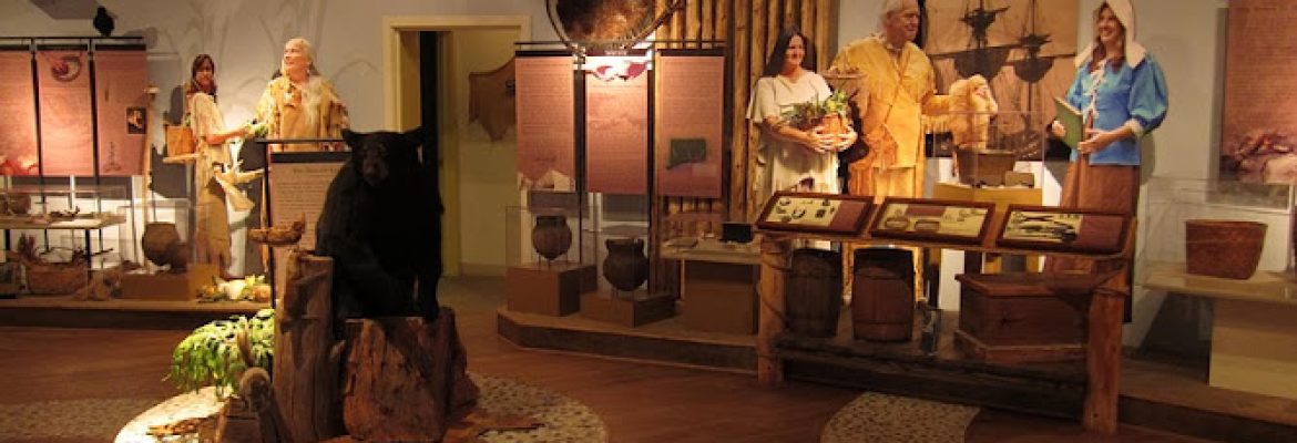 The Institute For American Indian Studies