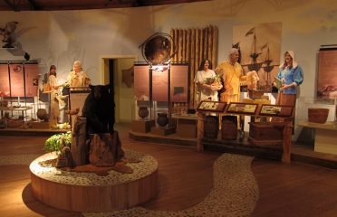 The Institute For American Indian Studies