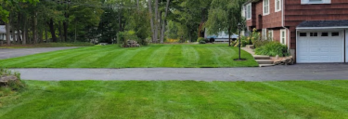 Turf MD