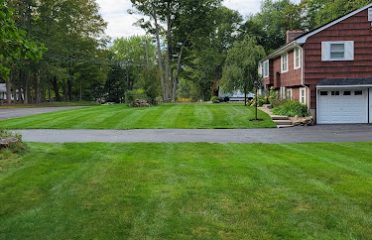 Turf MD