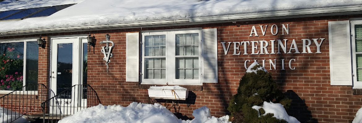 Avon Veterinary Clinic