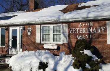 Avon Veterinary Clinic