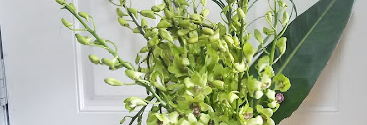Any Occasion Creation Florist