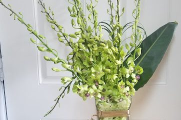 Any Occasion Creation Florist