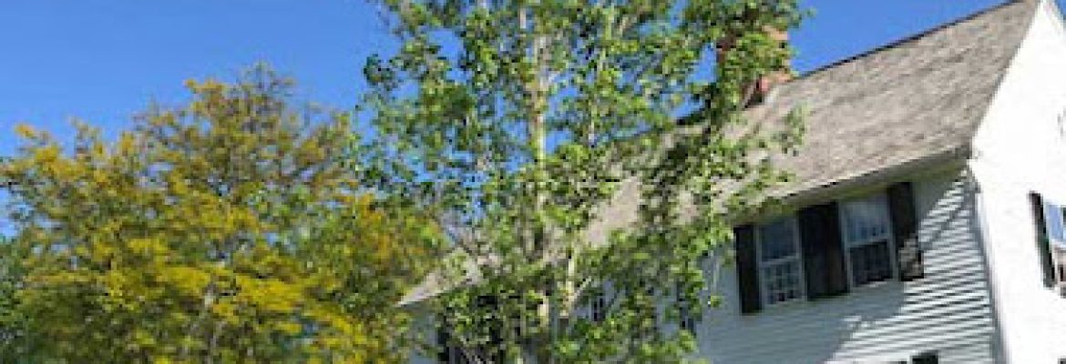 KDF Tree and Landscape LLC