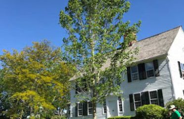 KDF Tree and Landscape LLC