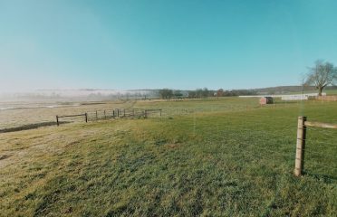 Cohen Farms