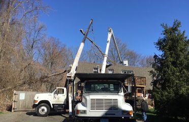 Darien Tree Service LLC