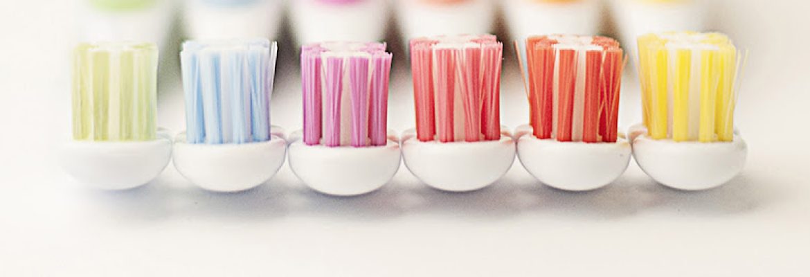 Cipes Monica H Dmd