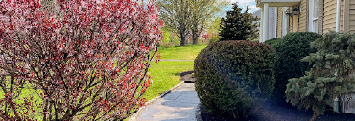 G&G landscaping, tree & lawn service