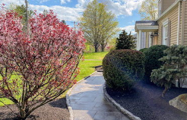 G&G landscaping, tree & lawn service
