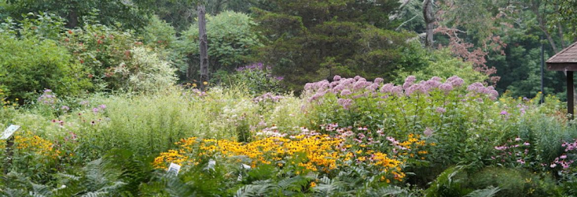 Richard D. Haley Native Plant Wildlife Gardens
