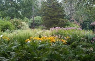 Richard D. Haley Native Plant Wildlife Gardens