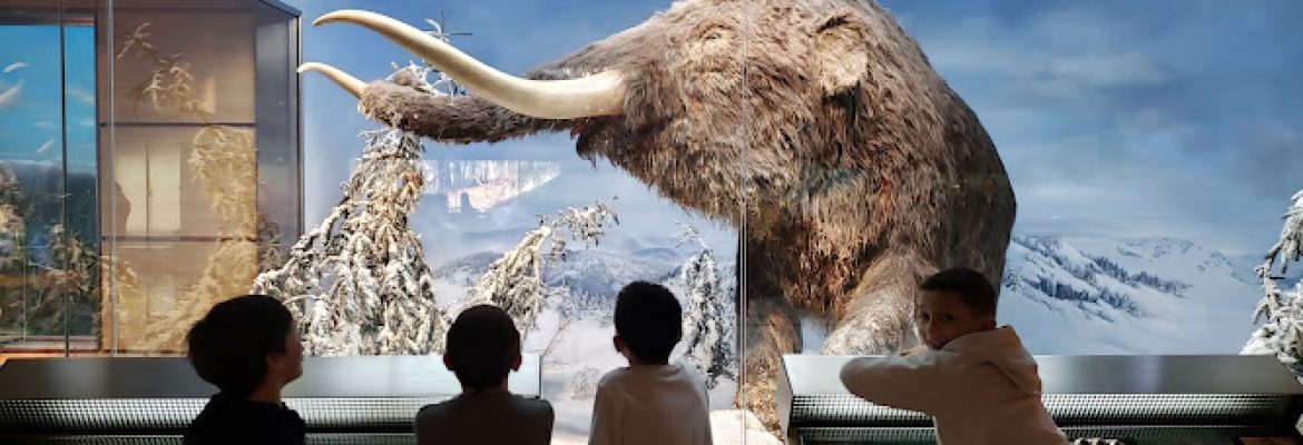 Mashantucket Pequot Museum & Research Center