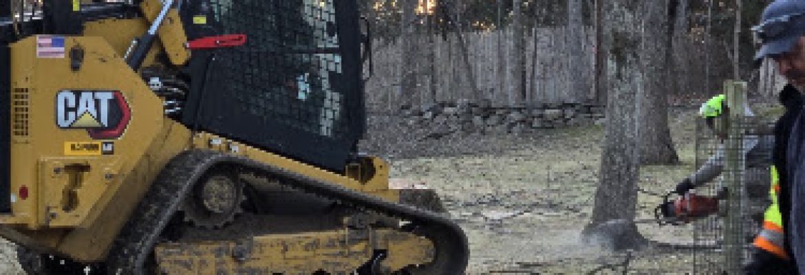 New England Tree Inc