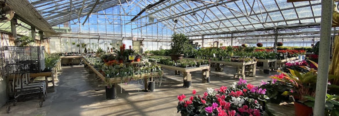Woodland Gardens