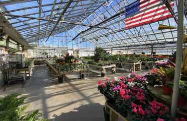 Woodland Gardens