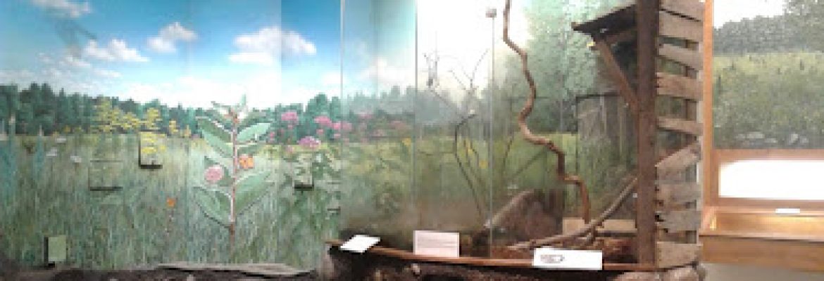 Denison Pequotsepos Nature Center