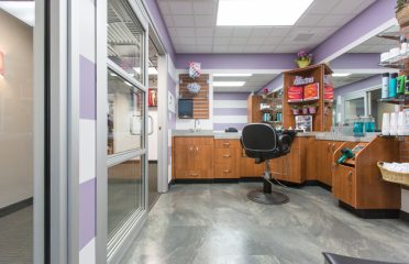 Sola Salons