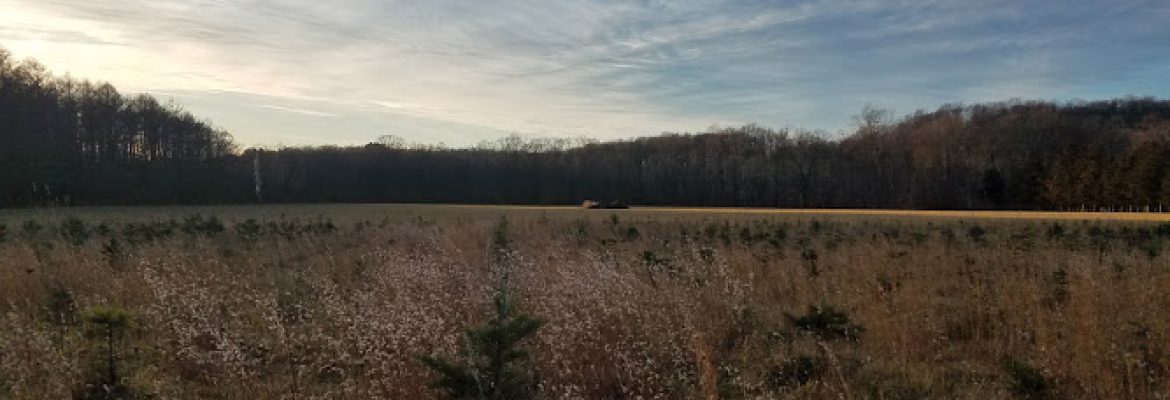 Wettemann Family Tree Farm