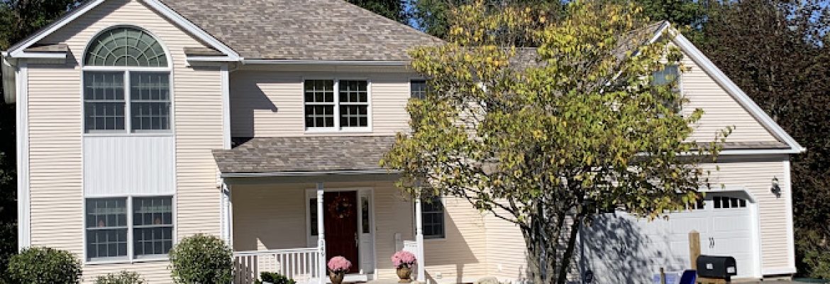 Martin Roofing