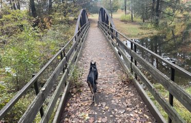 Black Rock State Park Campground
