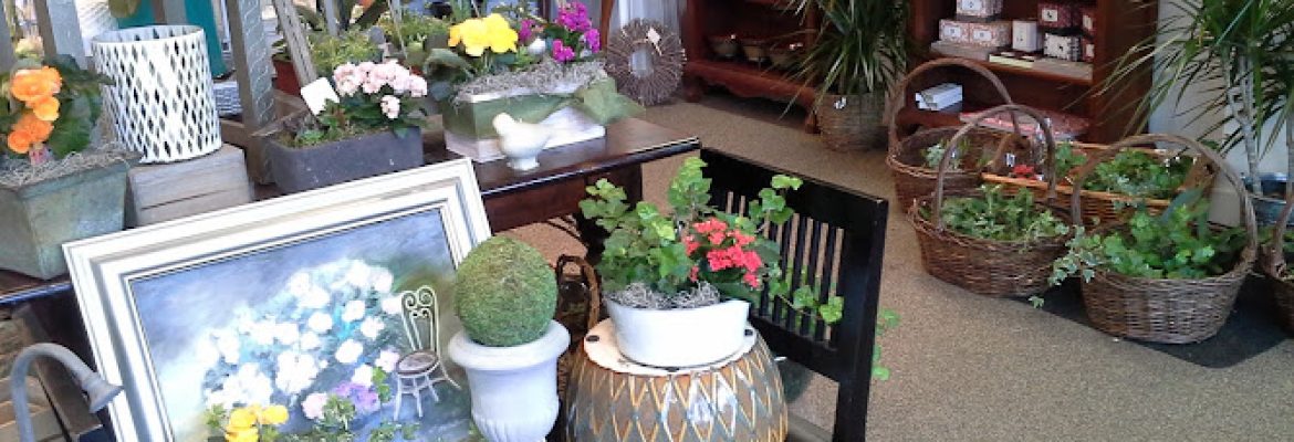 Rodier Flowers