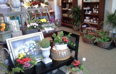 Rodier Flowers