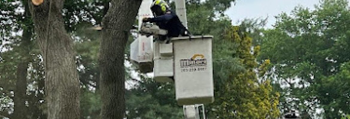 Mineri Landscaping LLC