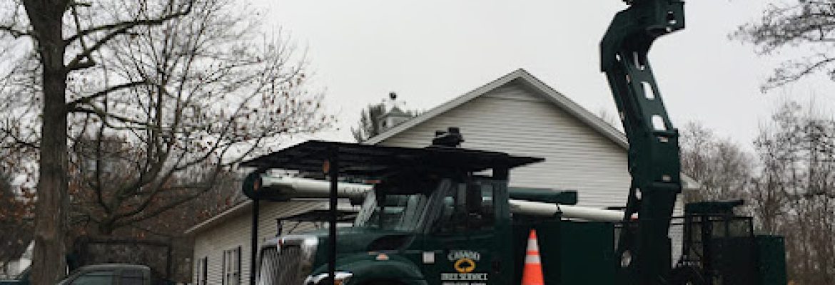 Casadei Tree Service