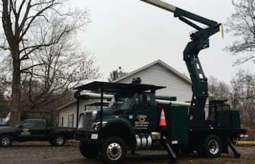 Casadei Tree Service