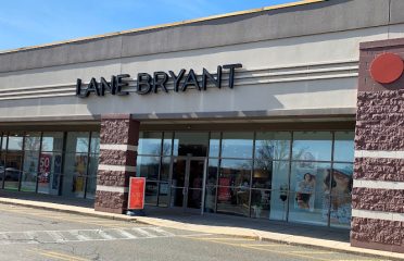 Lane Bryant