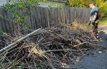 Enfield Junk