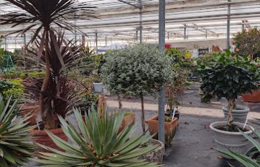 Gardens at Cheshire